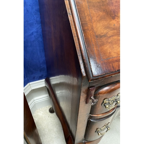 25 - A MAHOGANY QUEEN ANNE STYLE BUREAU BOOKCASE, the carved pediment to arched top with shell motif to c... 