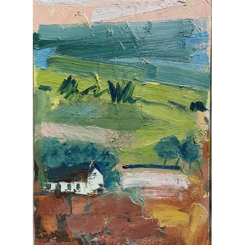 26 - MARTIN STONE (Irish, 20th Century), ‘FARM HILL WEST CORK’, oil on canvas, signed lower left, inscrib... 