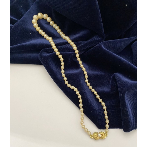 176 - AN IMITATION PEARL NECKLACE, graduating in size from the centre, with decorative gold tone clasp, ha... 