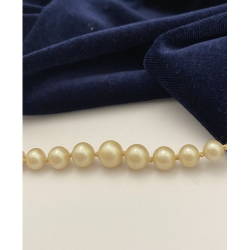 176 - AN IMITATION PEARL NECKLACE, graduating in size from the centre, with decorative gold tone clasp, ha... 