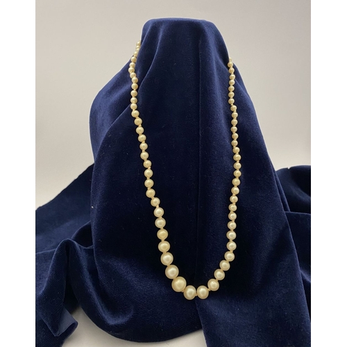176 - AN IMITATION PEARL NECKLACE, graduating in size from the centre, with decorative gold tone clasp, ha... 