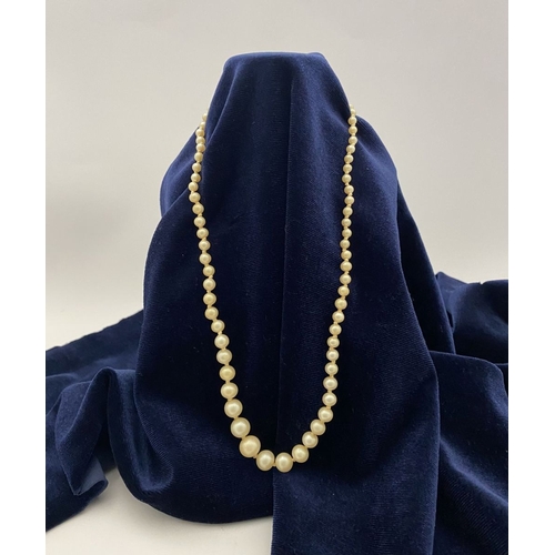 176 - AN IMITATION PEARL NECKLACE, graduating in size from the centre, with decorative gold tone clasp, ha... 
