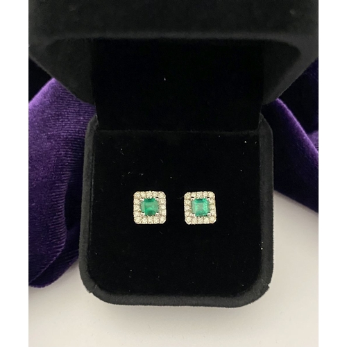27 - A STUNNING PAIR OF 14CT WHITE GOLD EMERALD & DIAMOND STUD EARRINGS, with central vibrant emerald in ... 