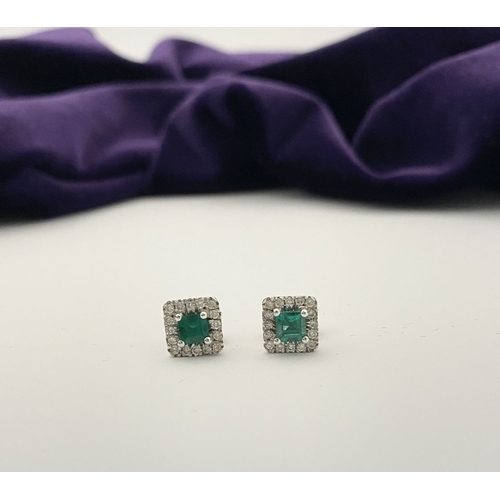 27 - A STUNNING PAIR OF 14CT WHITE GOLD EMERALD & DIAMOND STUD EARRINGS, with central vibrant emerald in ... 