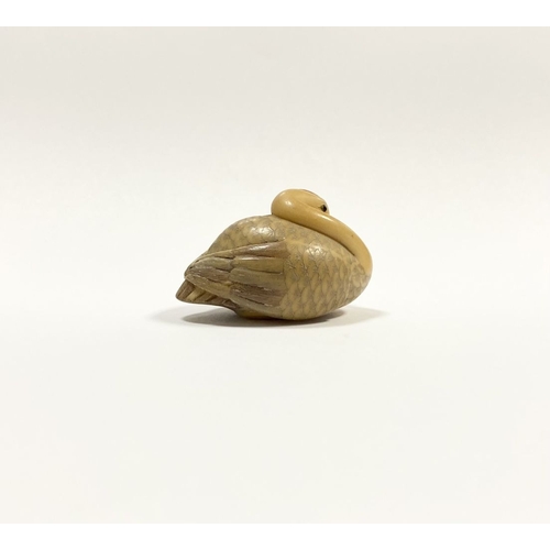79 - AN ANTIQUE HAND CARVED JAPANESE TAGUA NUT NETSUKE, in the form of a crane, signed to base. Intricate... 