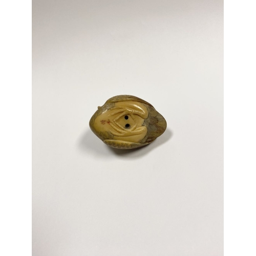 79 - AN ANTIQUE HAND CARVED JAPANESE TAGUA NUT NETSUKE, in the form of a crane, signed to base. Intricate... 