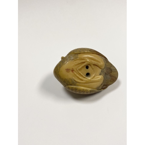 79 - AN ANTIQUE HAND CARVED JAPANESE TAGUA NUT NETSUKE, in the form of a crane, signed to base. Intricate... 