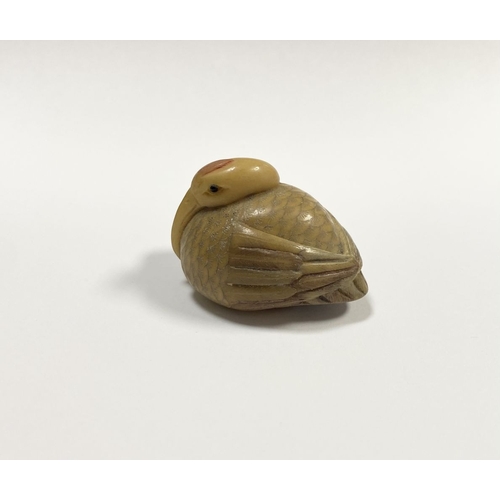 79 - AN ANTIQUE HAND CARVED JAPANESE TAGUA NUT NETSUKE, in the form of a crane, signed to base. Intricate... 