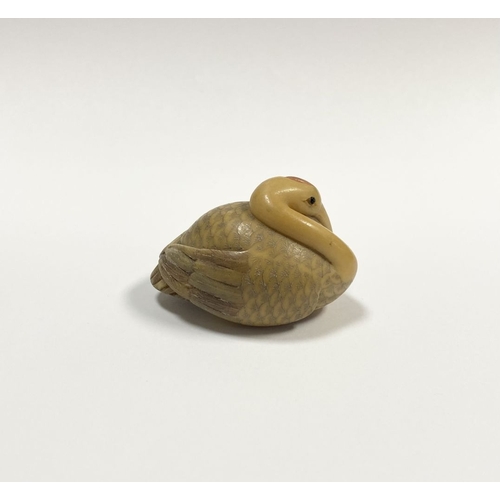 79 - AN ANTIQUE HAND CARVED JAPANESE TAGUA NUT NETSUKE, in the form of a crane, signed to base. Intricate... 