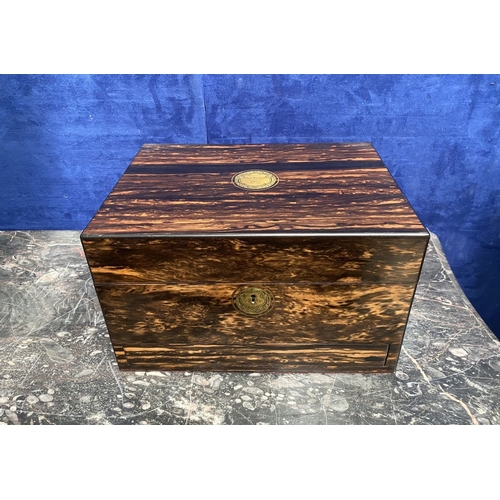 Lot 29        