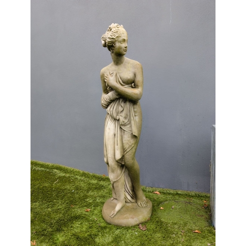 Lot 56        