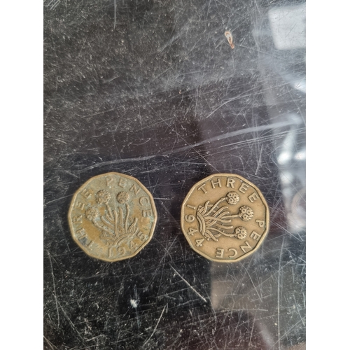 Lot 19C       