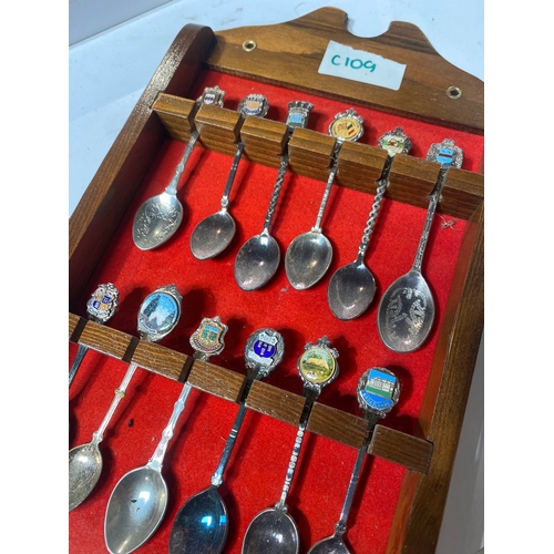 20 - Collection of decorative spoons with display case