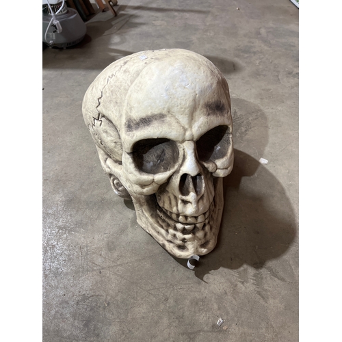 201 - Large foam skull - very big - great for Halloween!