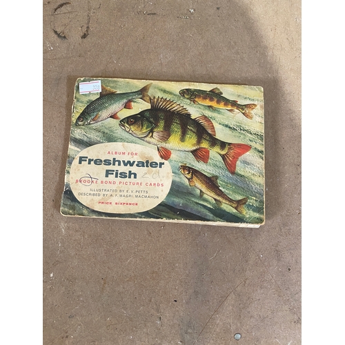 41 - Vintage freshwater fish Brooke bond picture cards