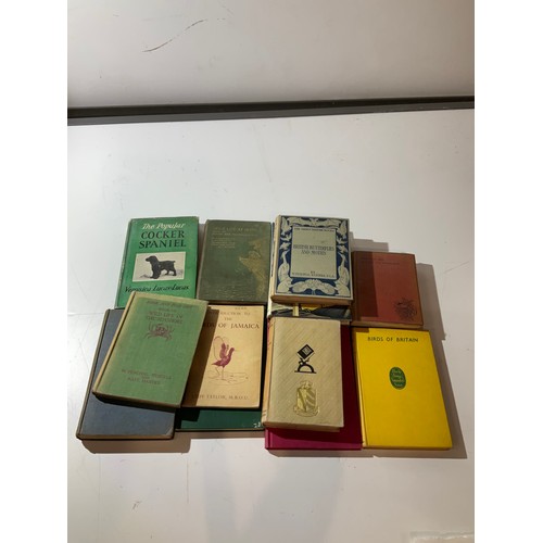 132 - collection of books including The Golden Eagle, The Popular cocker Spaniel, Wild life at home and mo... 