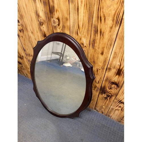 199 - Oval decorative framed mirror