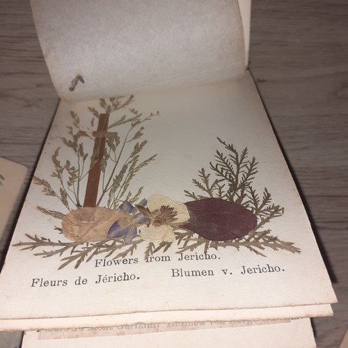 23 - Antique flower press book, Jerusalem and flower press cards. Original tracing paper and in good cond... 