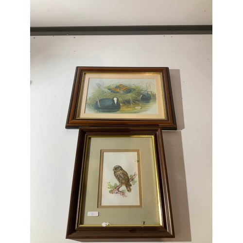 88 - 2 small framed and glazed pictures of wild birds