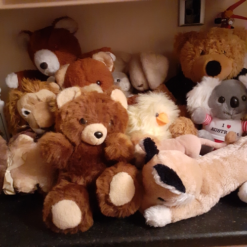 7 - Quantity of cuddly toys.