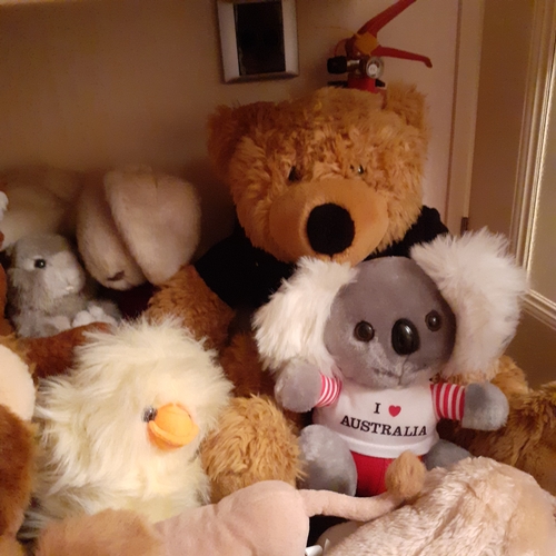 7 - Quantity of cuddly toys.