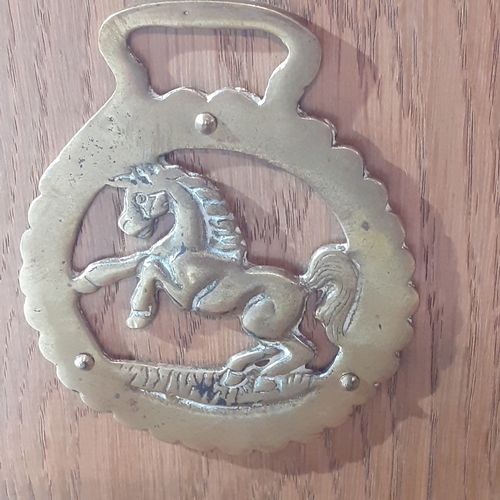 3 - Pair solid wood oak bookends with a horse brass attached