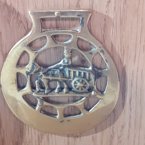 3 - Pair solid wood oak bookends with a horse brass attached