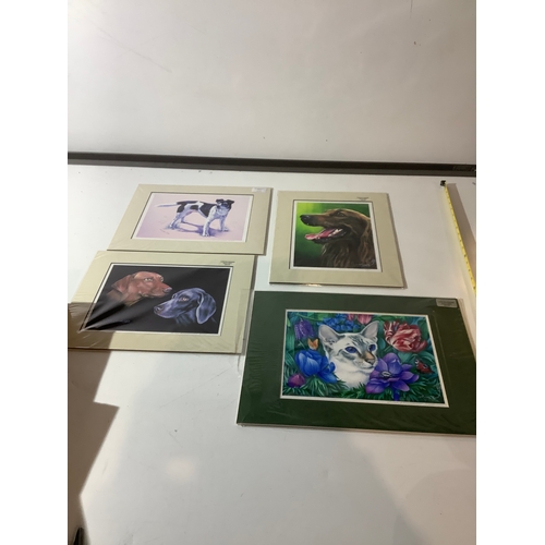 243 - 4x animal prints - signed by the artist