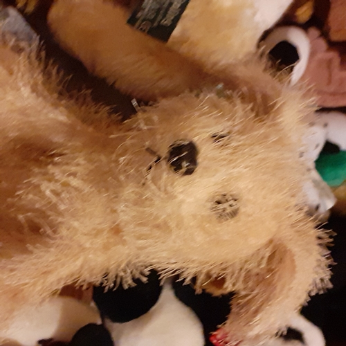 25 - Box full of small cuddlys. Many still with tags including Ty, Disney, Nuzzlers and more