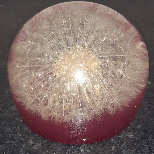 54 - Vintage resin dandelion paperweight.