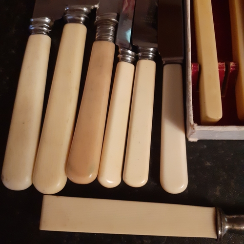 29 - Quantity of vintage knives, faux bone handles plus one knife sharpener.