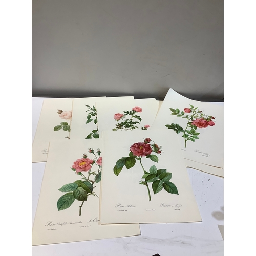 30 - Approximately 15 prints of flowers by P J Redoute - 40x30cm