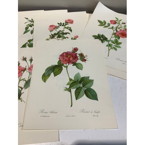 30 - Approximately 15 prints of flowers by P J Redoute - 40x30cm