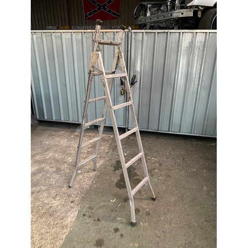 437 - Large folding step ladder