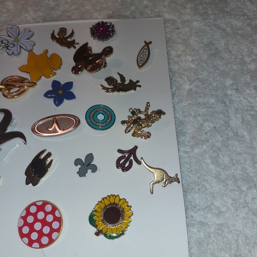 26 - A quantity of decorative pin/lapel badges, including flowers, animals and more.