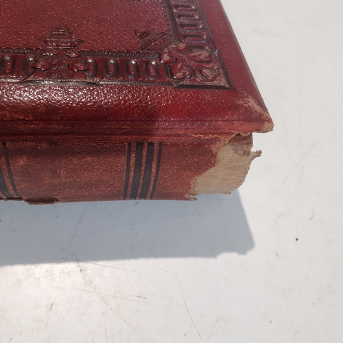 29 - Vintage possibly antique photograph album with individual pages decorated with painted flower border... 