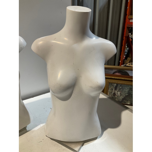 277 - 2 x Large display torso approx 63cm high on Perspex stands