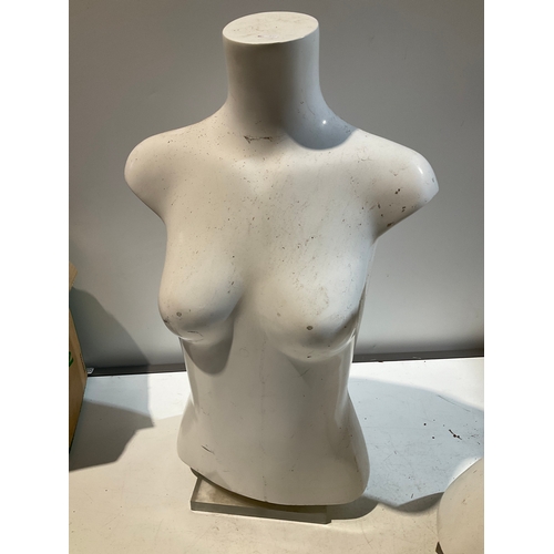 277 - 2 x Large display torso approx 63cm high on Perspex stands