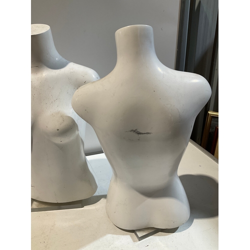 277 - 2 x Large display torso approx 63cm high on Perspex stands