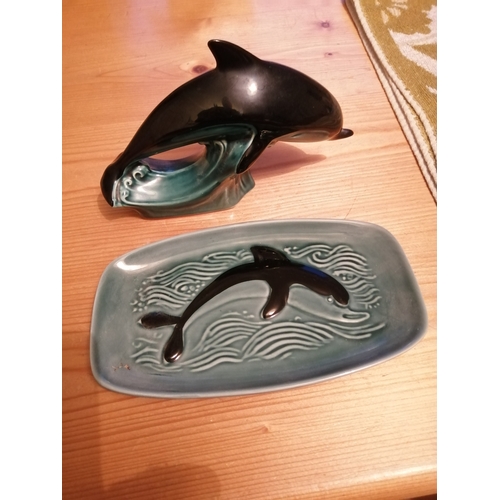 41A - 2 pieces of Poole pottery with dolphin design