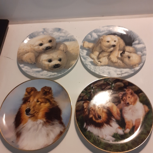 16 - 4 x collectable plates, seals, polar bears and dogs. Nice condition