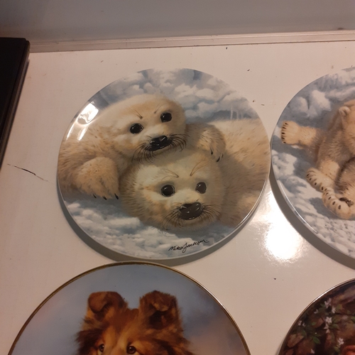 16 - 4 x collectable plates, seals, polar bears and dogs. Nice condition