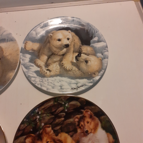 16 - 4 x collectable plates, seals, polar bears and dogs. Nice condition