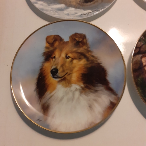 16 - 4 x collectable plates, seals, polar bears and dogs. Nice condition