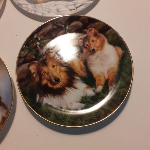 16 - 4 x collectable plates, seals, polar bears and dogs. Nice condition