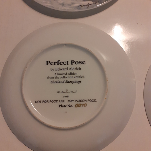 16 - 4 x collectable plates, seals, polar bears and dogs. Nice condition