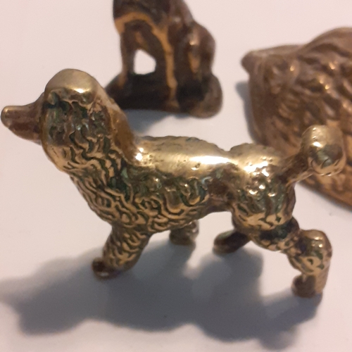 13 - A quantity of brass animal items with dogs, hedgehogs and swans