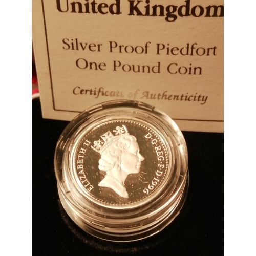 37A - 1996 silver proof PIEDFORT 1 pound coin in red presentation case (10,000 mintage)