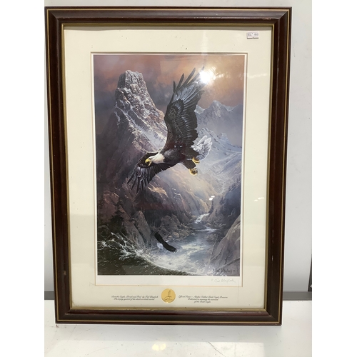 25 - Save the Eagle print by Ted Blaylock - signed - 60x40cm