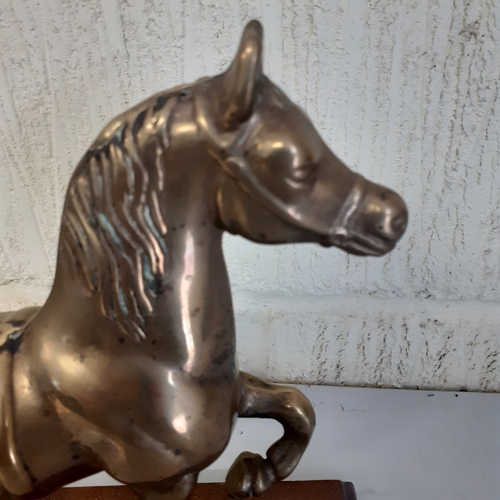 54 - Brass horse on a wooden plinth. Weight is